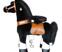 PonyCycle-3182